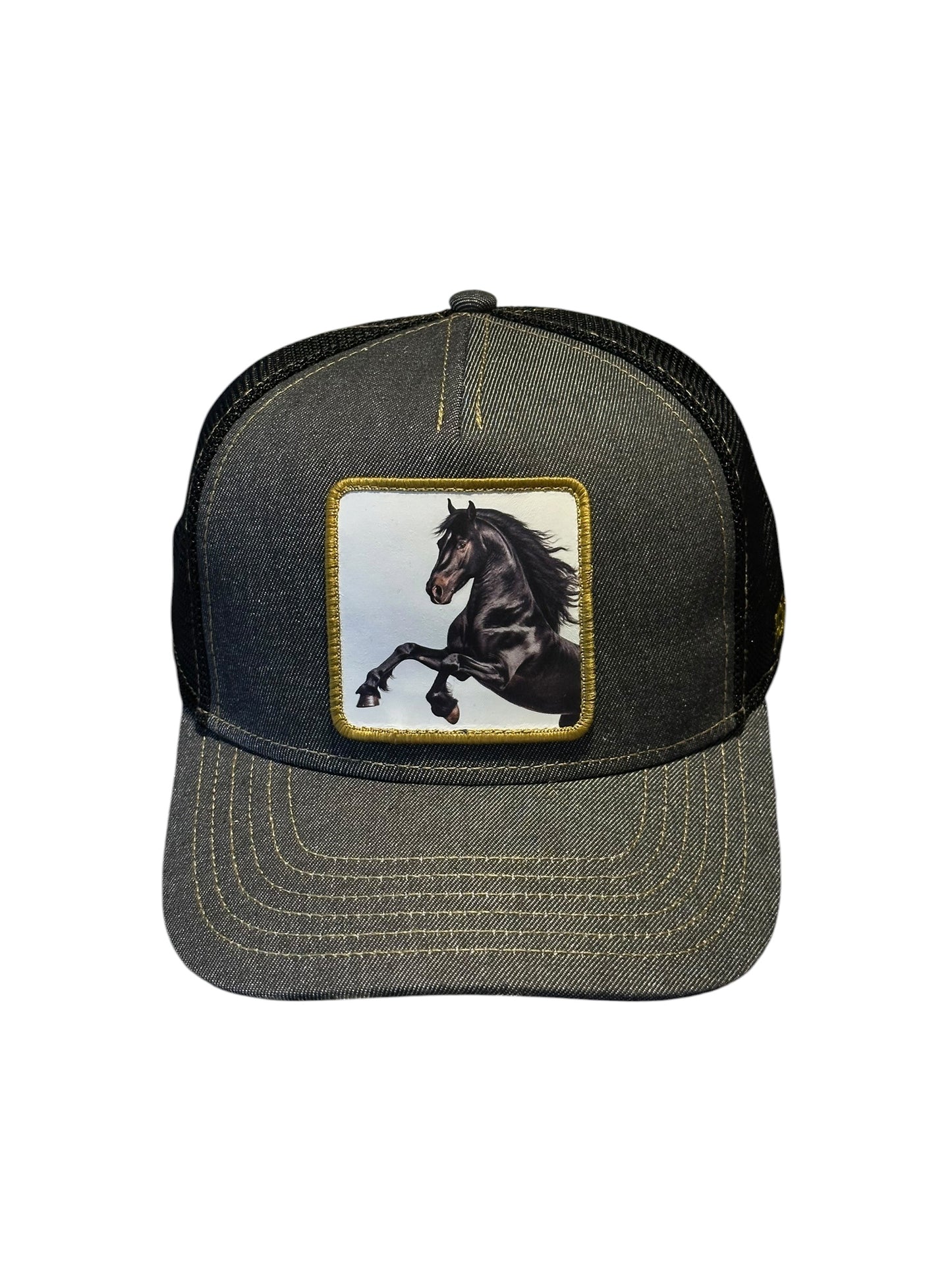Hatfield Black Stallion