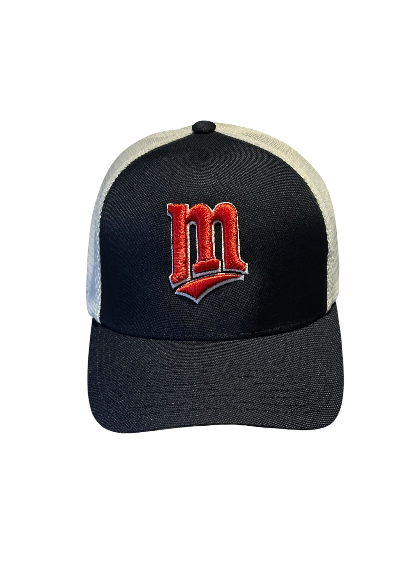 Flexfit MINNESOTA TWINS x FLEXFIT FITTED