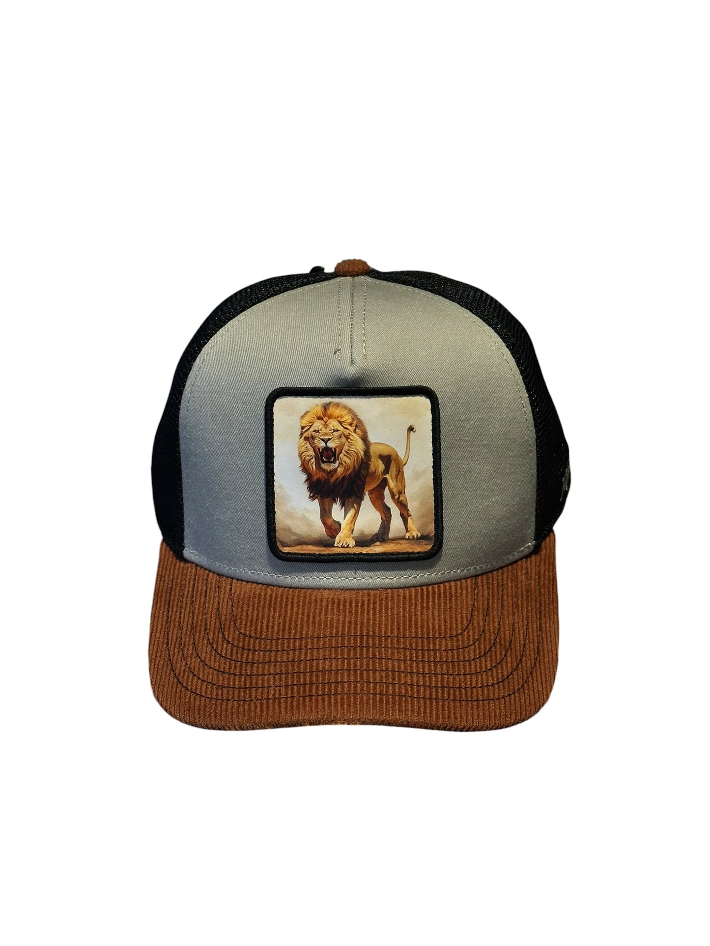 Hatfield Lion