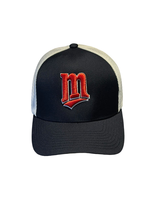 Flexfit MINNESOTA TWINS x FLEXFIT FITTED